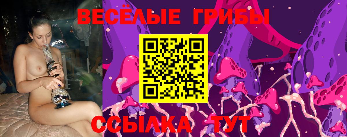 Зеленокумск  Псилоцибиновые грибы GOLDEN TEACHER  Вход с VPN 