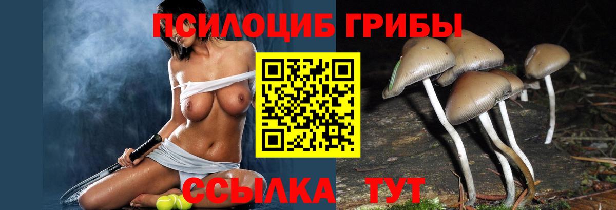 Галлюциногенные грибы GOLDEN TEACHER Зеленокумск